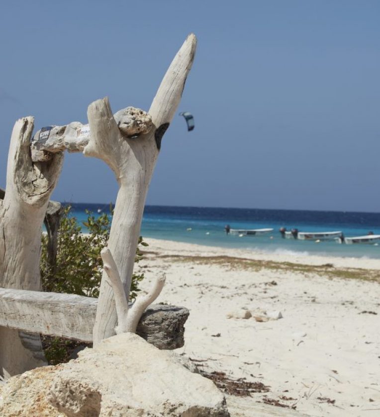 Bonaire_Ialand_WashingtonSlagbaaiNationalPark_227