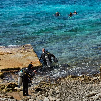 Bonaire_island_ShoreDiving_55