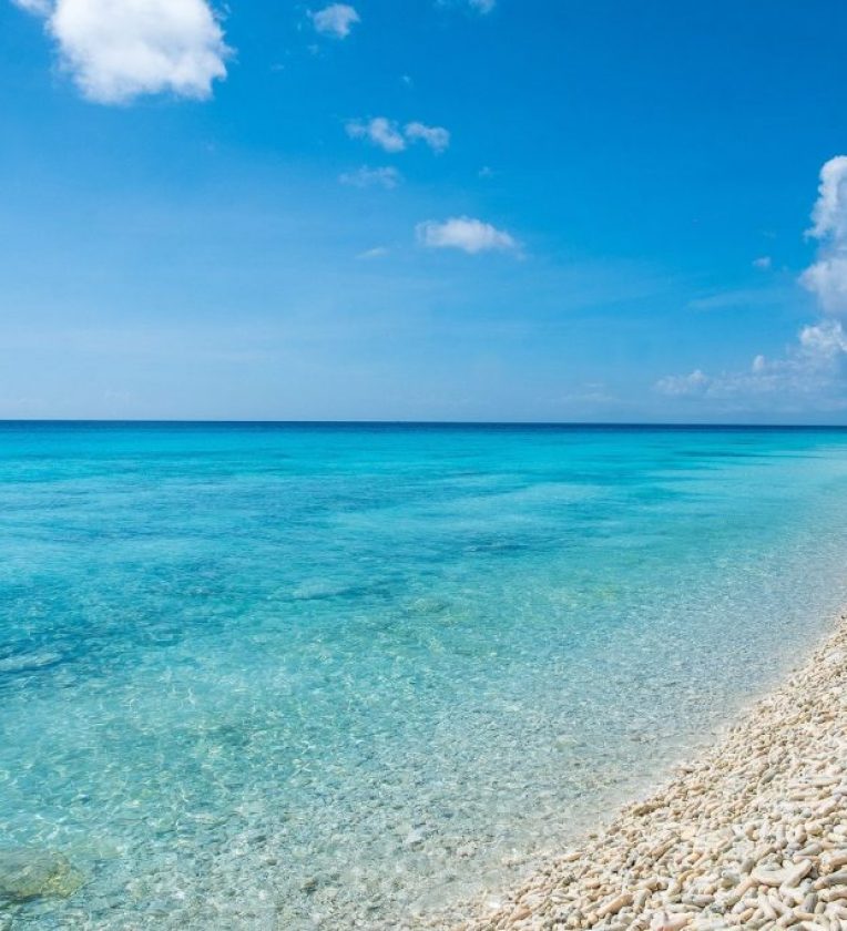 DolfijnGO Vakantie Bonaire De beste stranden Pink Beach