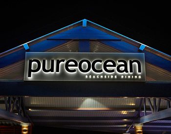 Flamingo_pureocean_7