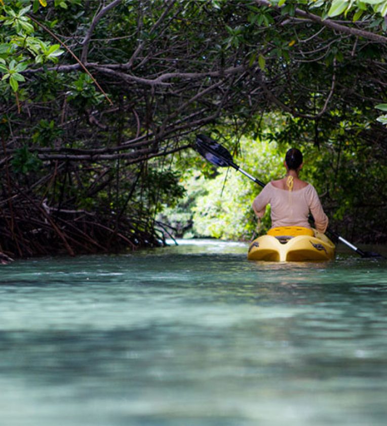 Mangove Kayaking Aquafari Bonaire