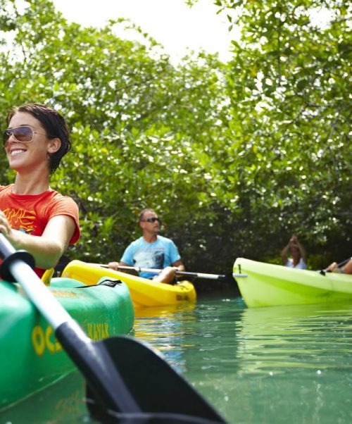 Kayaking in Bonaire
